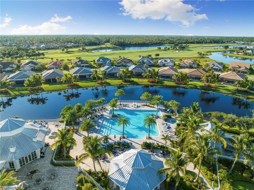 Expansive outdoor recreational area featuring a large swimming pool, surrounding lounge seating, and mature palm trees