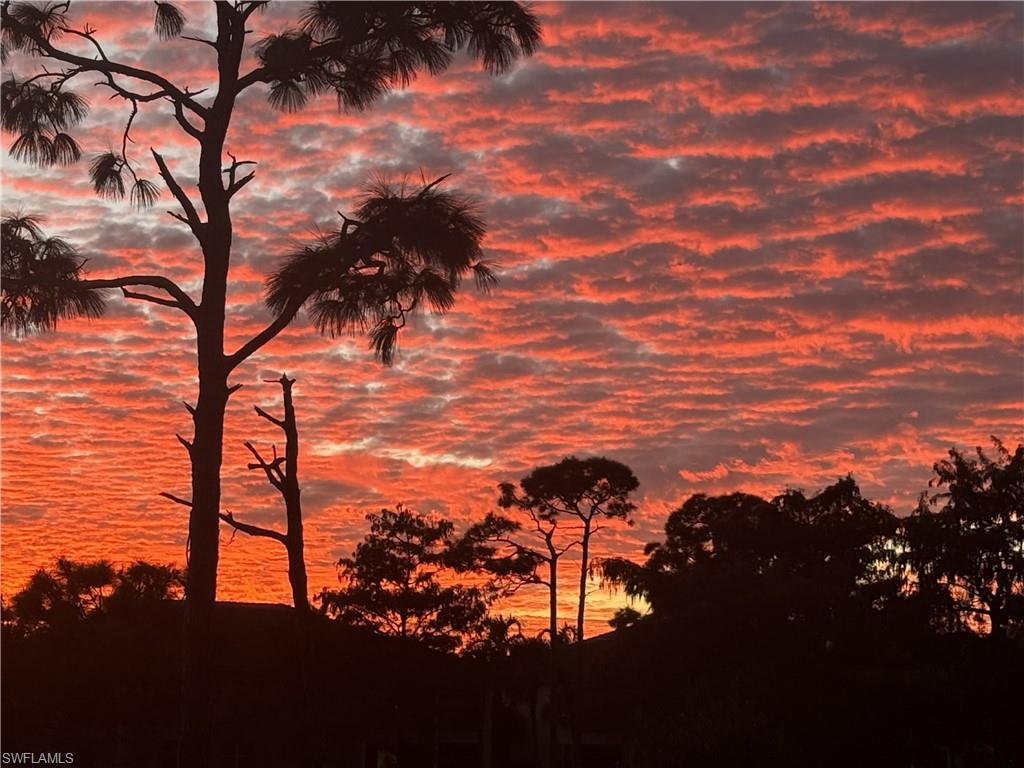 Incredible sunsets in the Southwest sky!