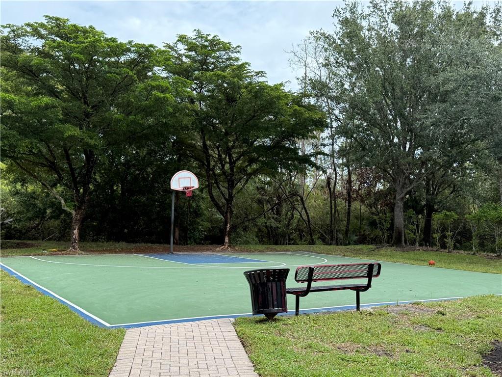 Basketball court