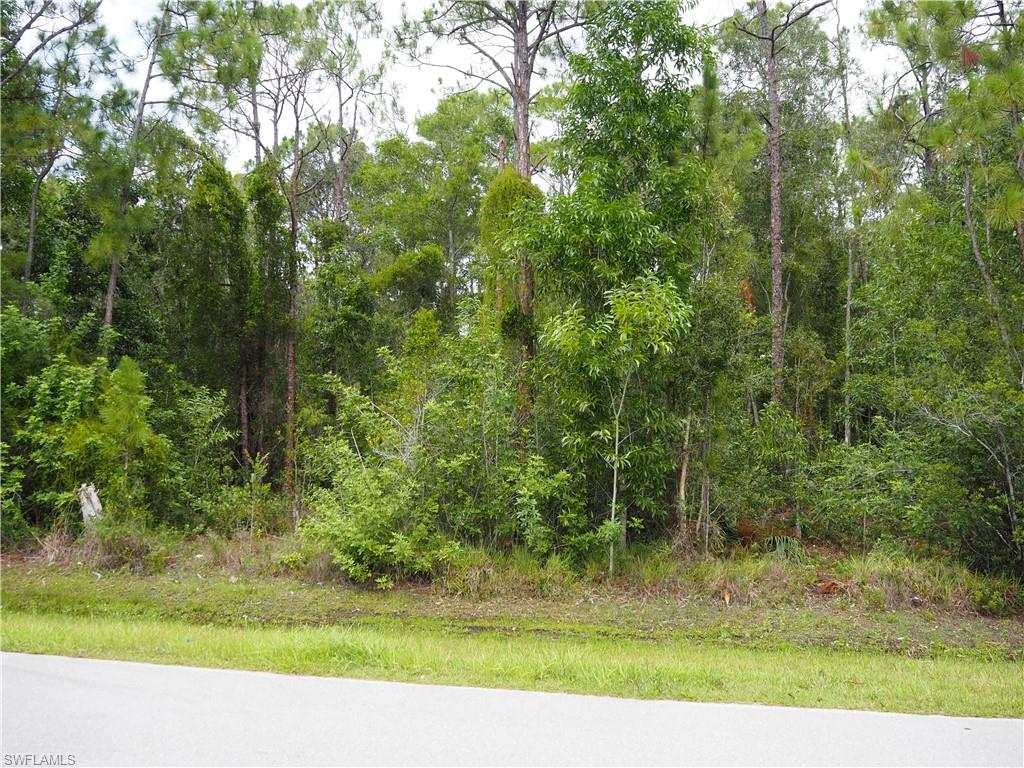 24310 GOLDEN EAGLE LANE, 1.25 ACRES, LOOKING AT FRONT OF PROPERTY