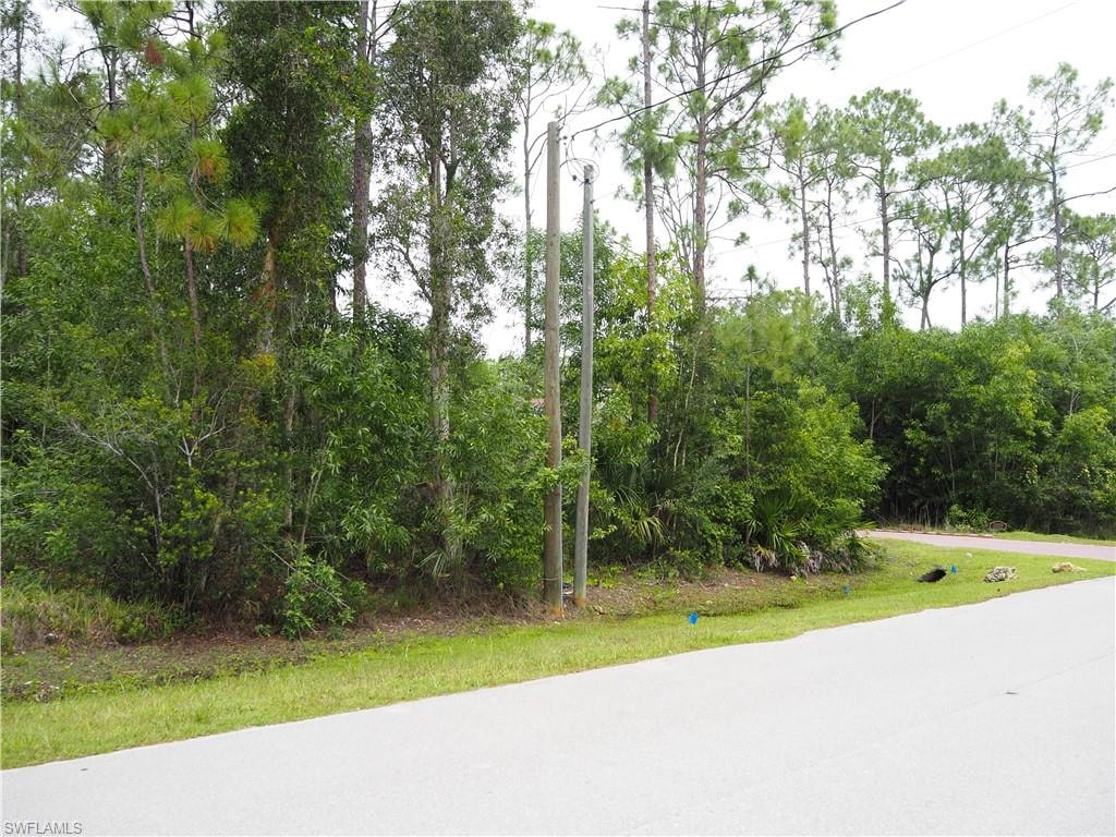 24310 GOLDEN EAGLE LNAE, 1.25 ACRES, LOOKING AT FRONT OF PROPERTY & TO THE RIGHT