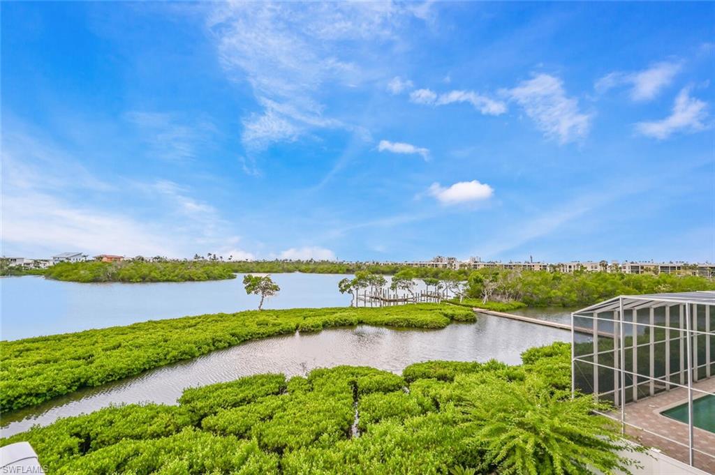 Expansive water vista featuring lush green foliage and a distant shoreline