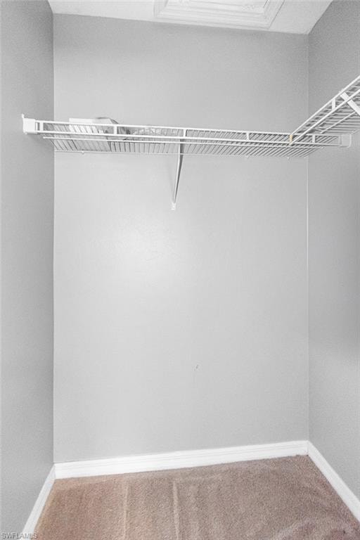 10191 Tin Maple DR 88 photo 26