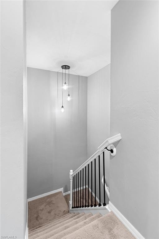 10191 Tin Maple DR 88 photo 18