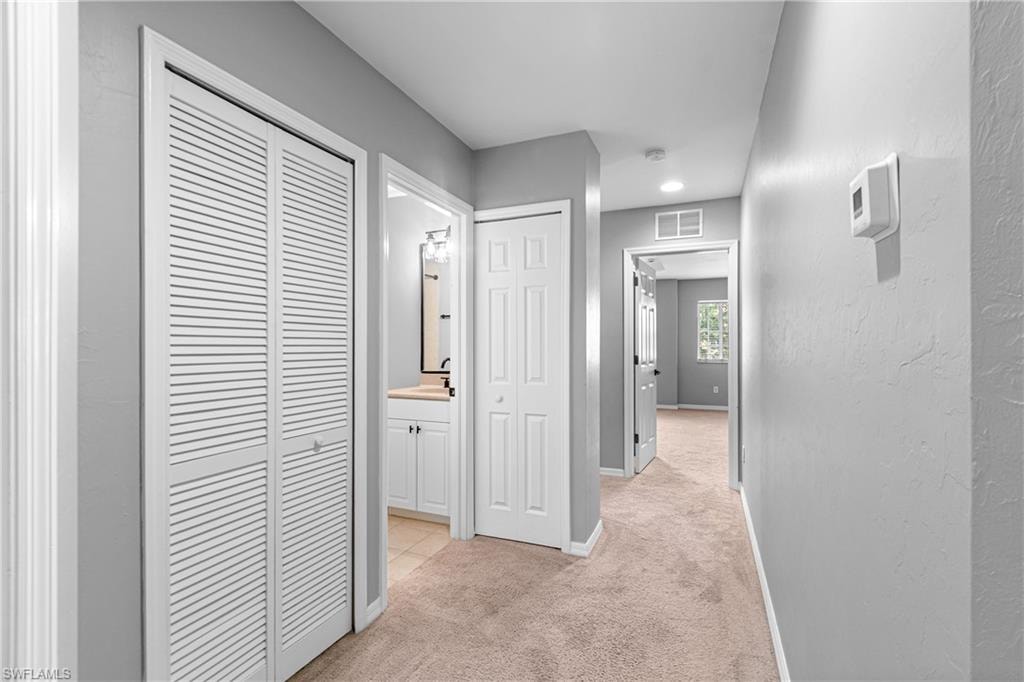 10191 Tin Maple DR 88 photo 19