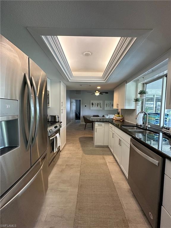 Kitchen with ceiling fan, a tray ceiling, stainless steel appliances, white cabinets, and sink