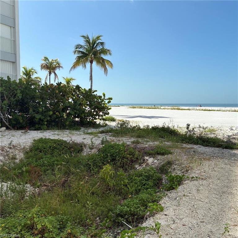 White sandy beach with calm ocean waters and palm trees