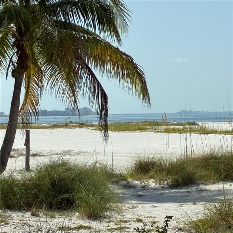 Palm tree foreground, white sand beach, coastal vegetation, expansive water, distant city skyline