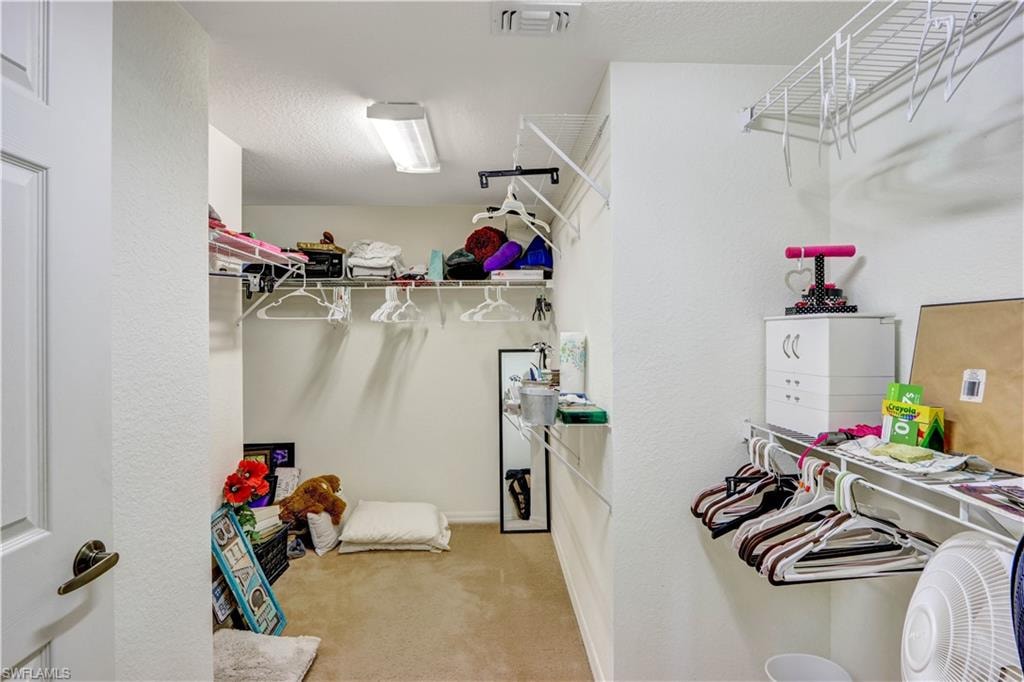 Walk-in closet featuring carpet flooring, white walls, and track lighting