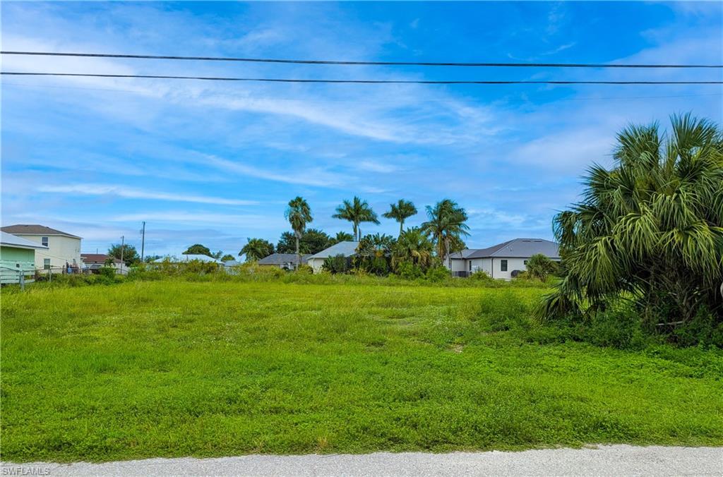 Expansive vacant lot featuring lush, level landscaping with mature tropical vegetation including palm trees