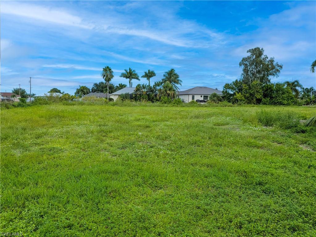 Expansive grounds featuring lush, level lawn with mature tropical landscaping including palm trees