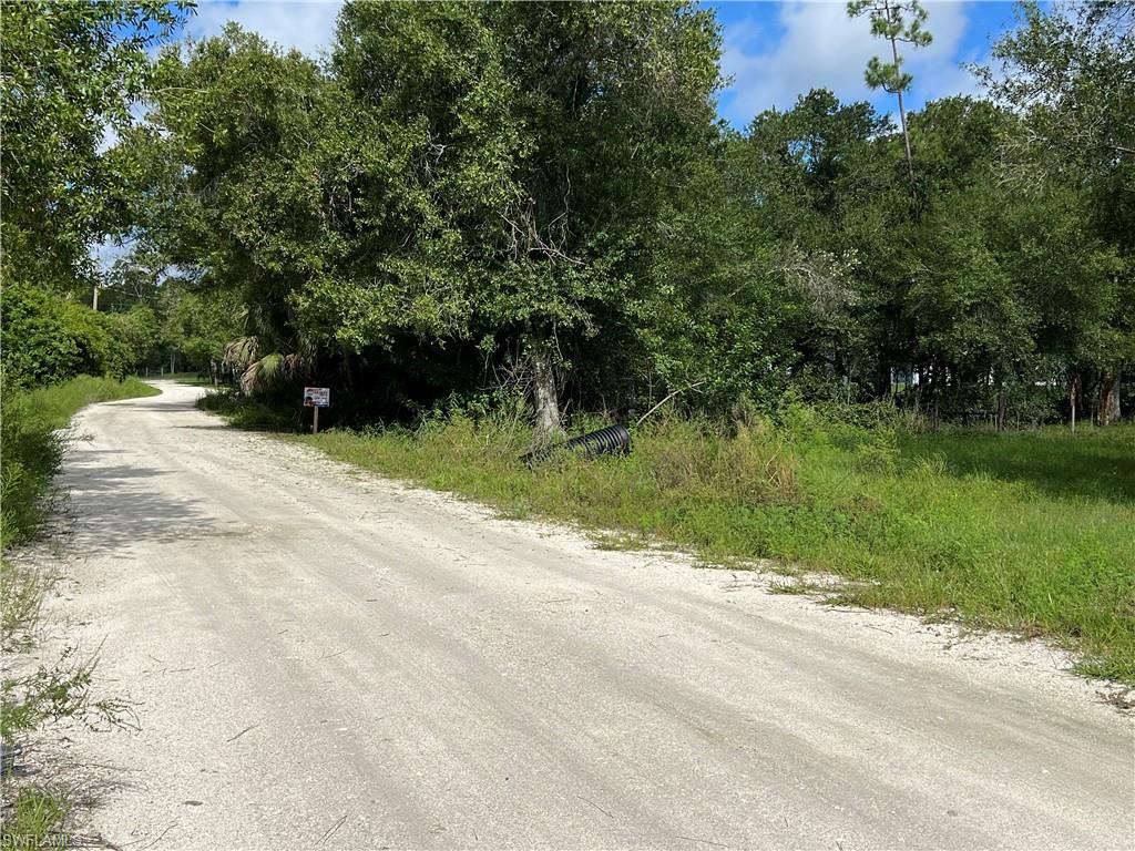 Gravel road access with lush, green foliage and mature trees