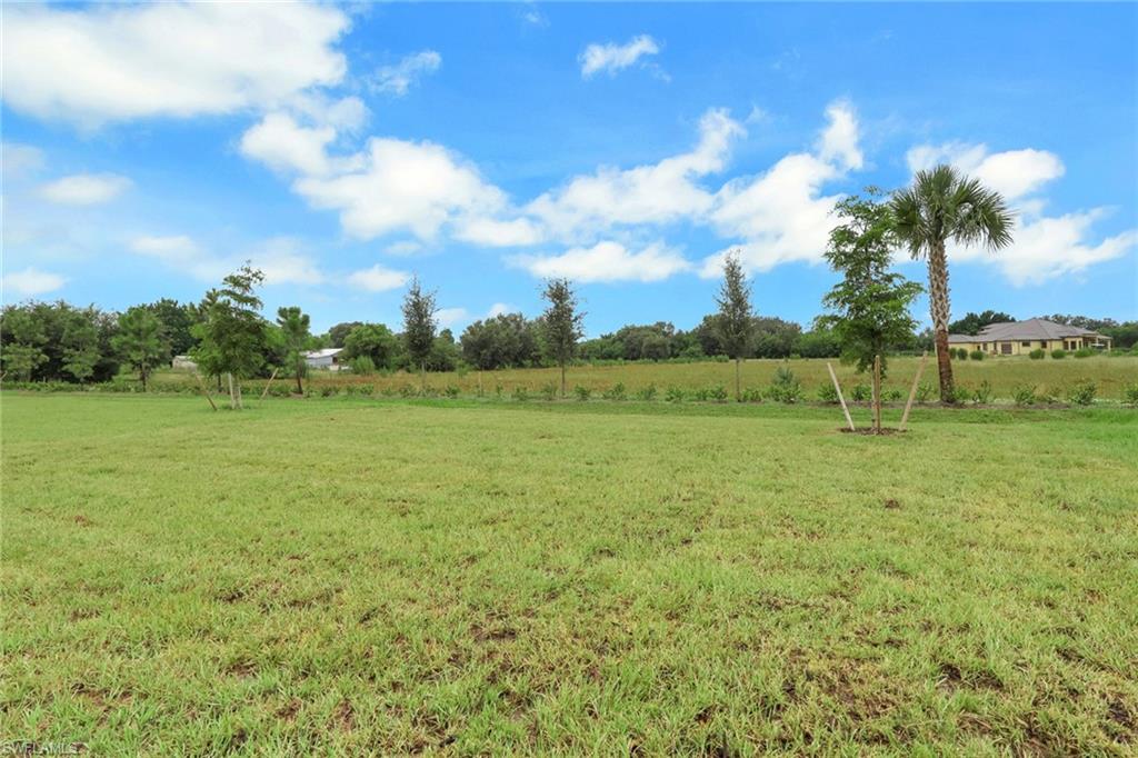 533 Ilaria CT photo 24