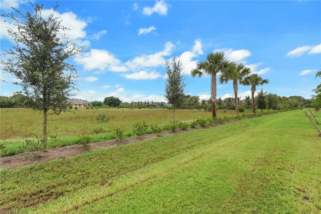 533 Ilaria CT photo 25