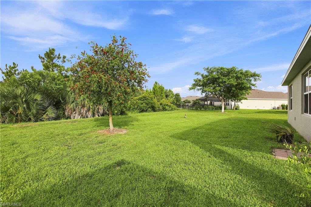 3180 Cozumel CT photo 23