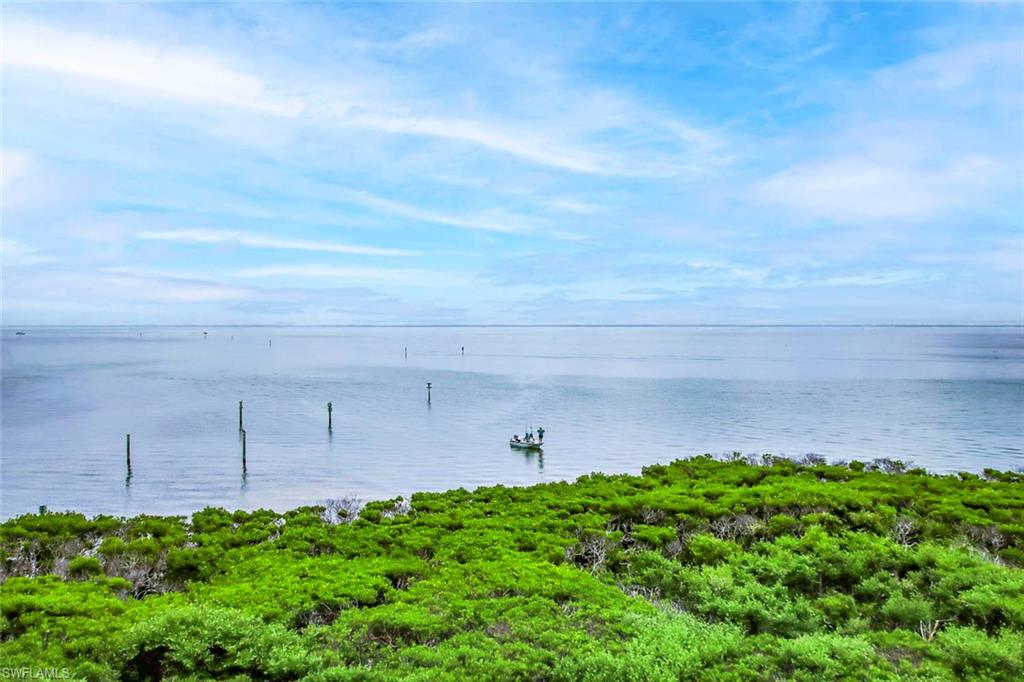 MANGROVES