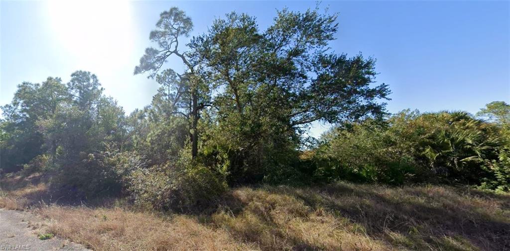 Varied natural foliage and mature trees define this substantial parcel, offering a clear blue sky background
