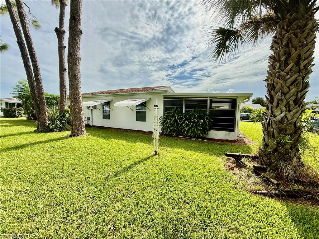36 Heath Aster LN