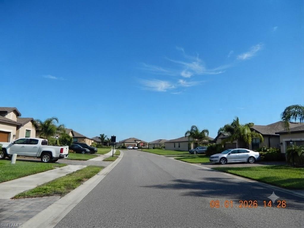 Neighborhood street with sidewalks and mature palm trees