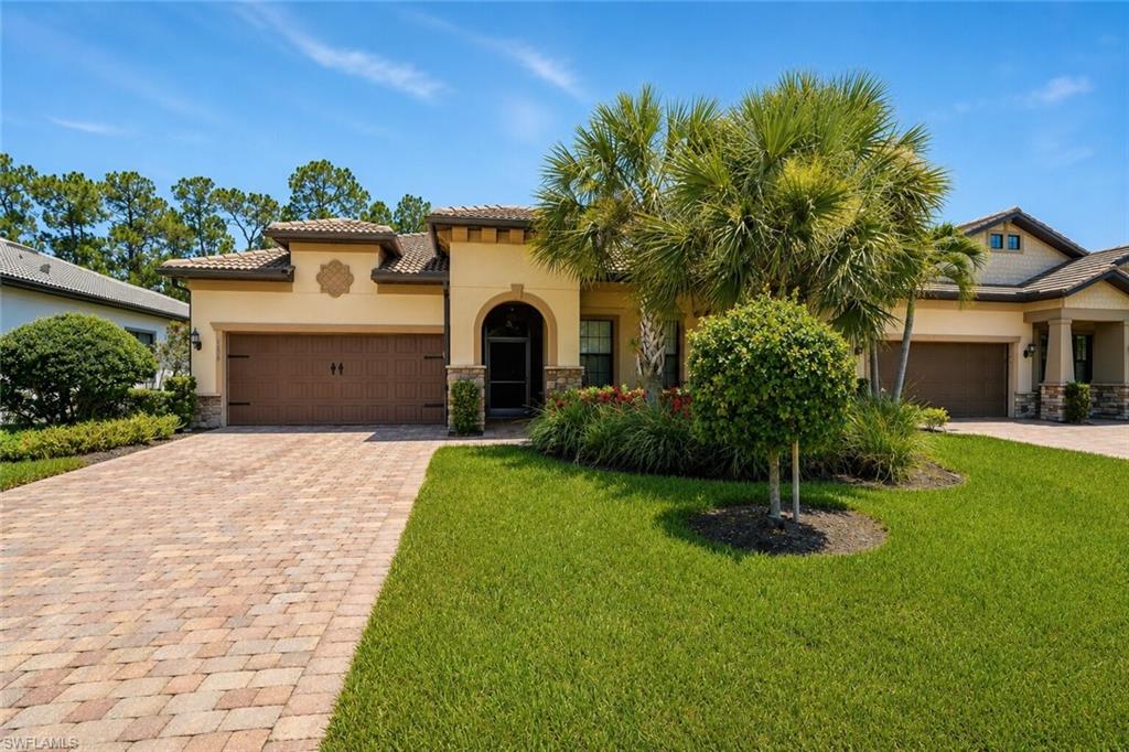 9432 Purple Martin CT