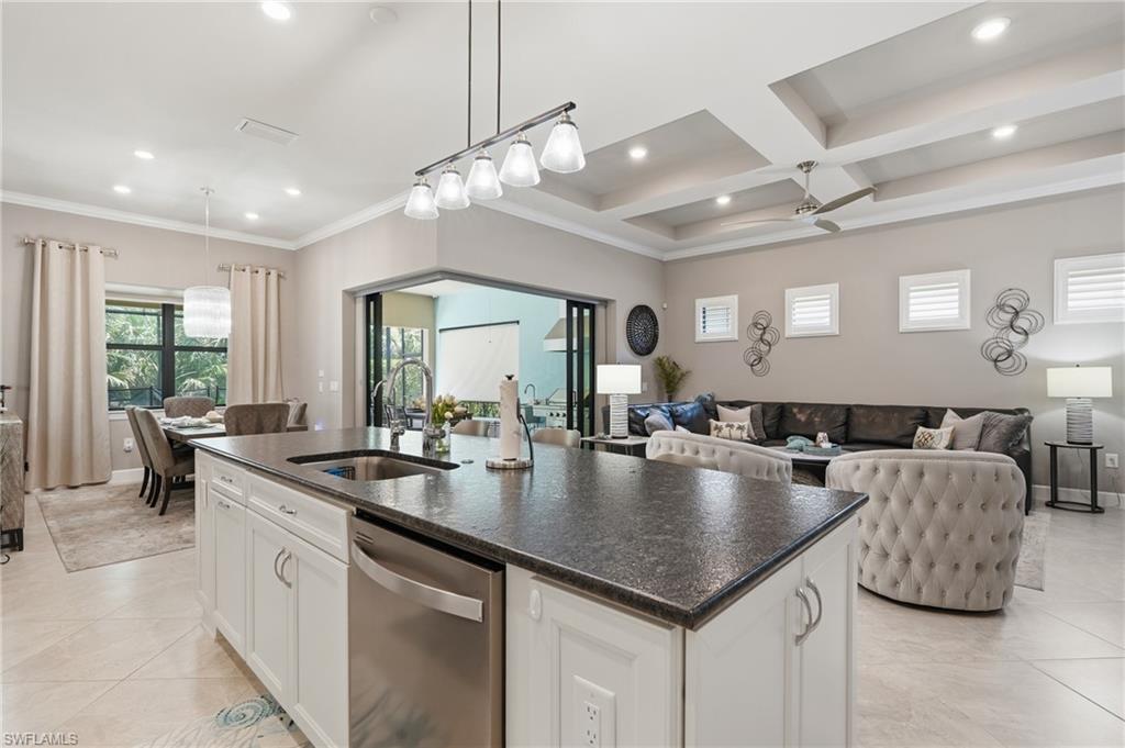 9432 Purple Martin CT