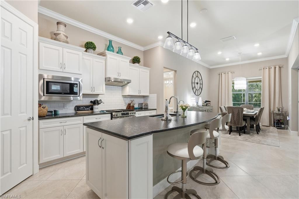 9432 Purple Martin CT