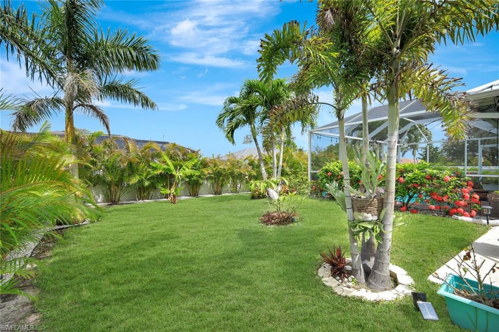 Yard w/ Fruit Trees