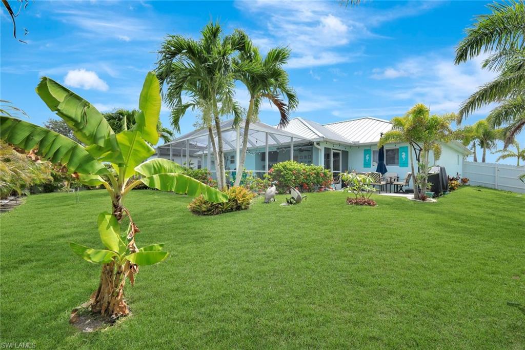 Yard w/ Fruit Trees