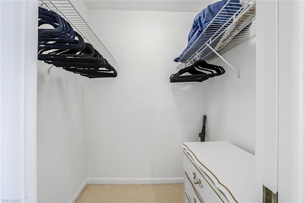 Walk-in closet featuring white walls, wire shelving, and carpeting