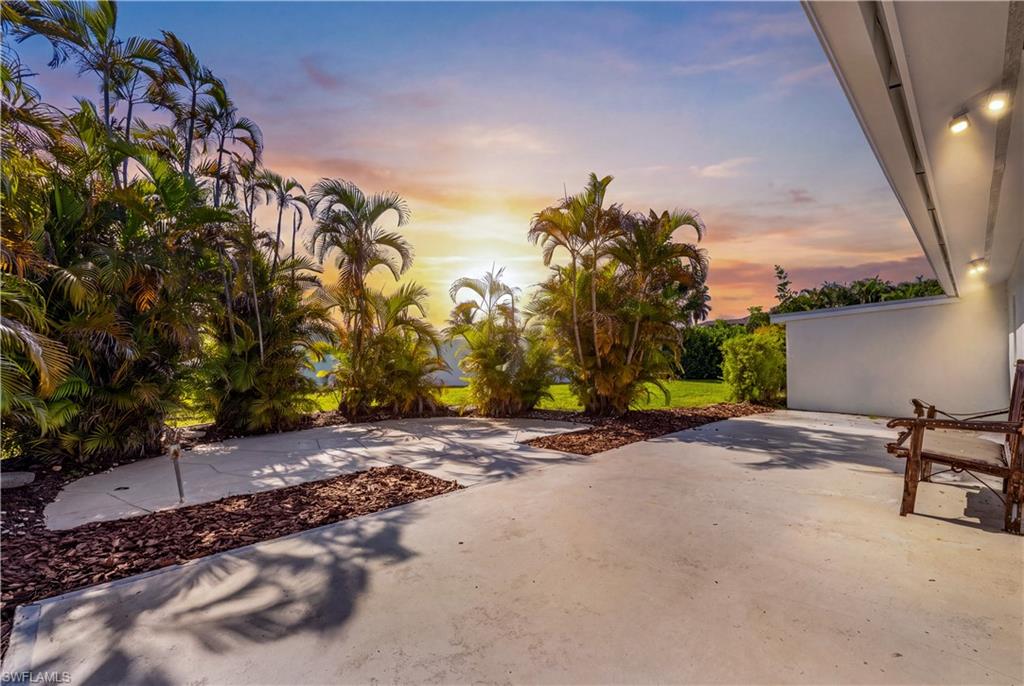 Private backyard tropical oasis featuring towering palm trees and lush vegetation
