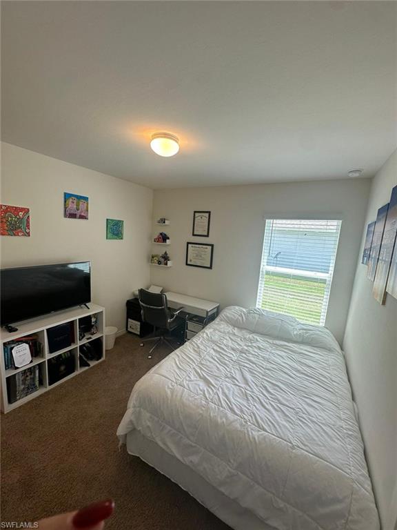 4115 14th AVE NE photo 22