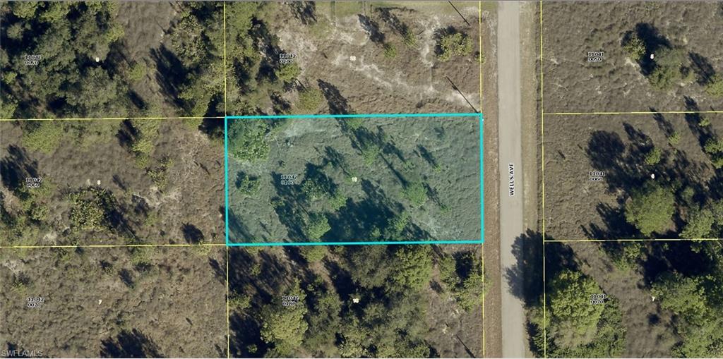 Aerial Map. Displaying the property's boundaries and surrounding parcels