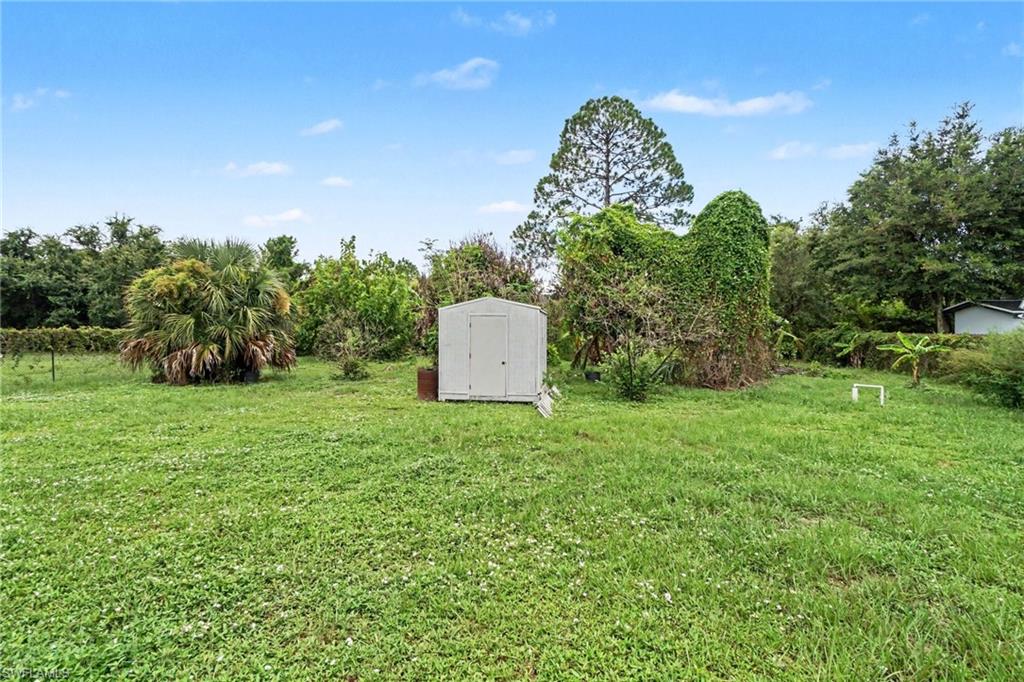 Expansive green space featuring a utility shed, mature trees, and natural foliage