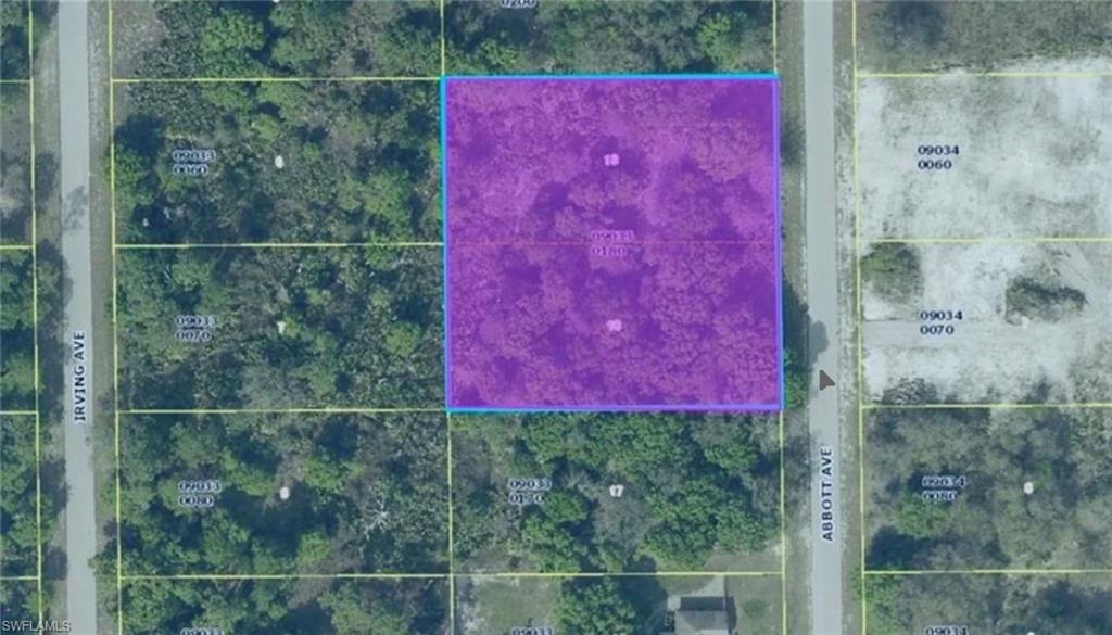 Aerial Map. Illustrating the property's boundaries and surrounding parcels