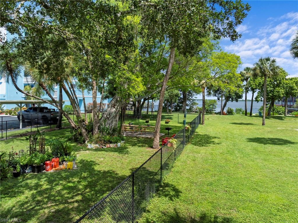 Off-leash Dog Park