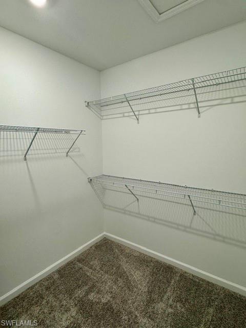 27899 RADIANT CT photo 10