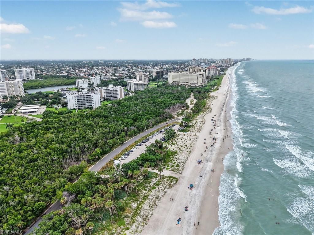 Expansive coastline featuring a sandy beach, ocean waves, dense tree canopy, and a distant urban skyline