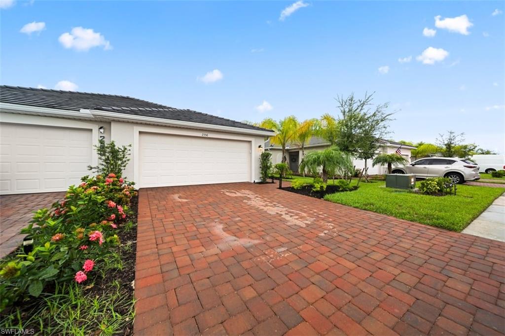 2356 Dragonfruit WAY