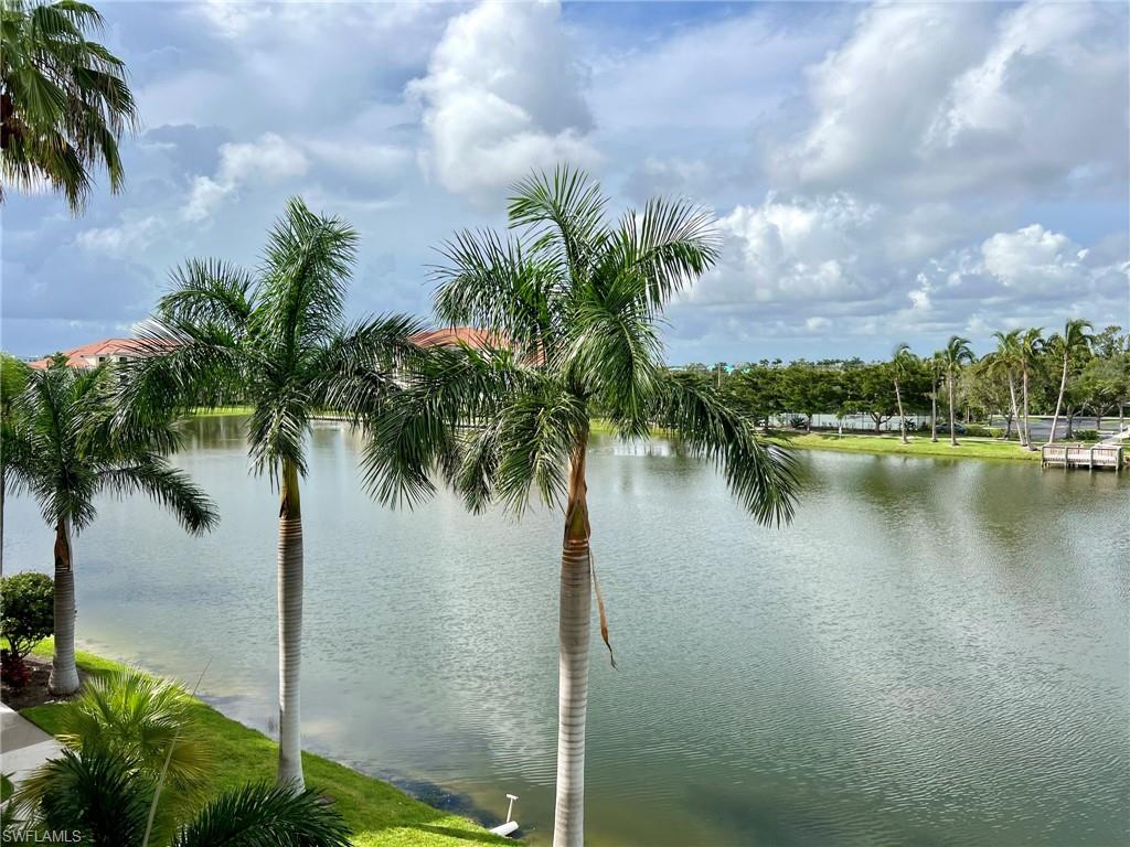 Waterfront setting with lush tropical landscaping, mature palm trees, and a manicured grassy bank