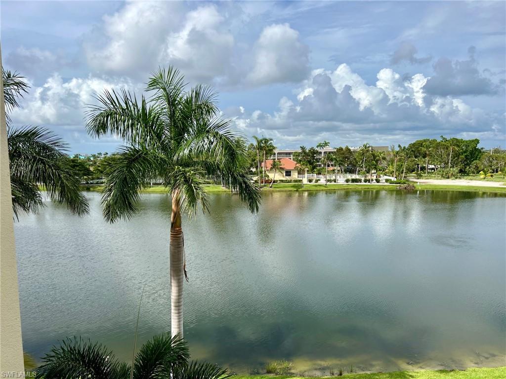 Waterfront setting with lush tropical foliage and distant residential structures