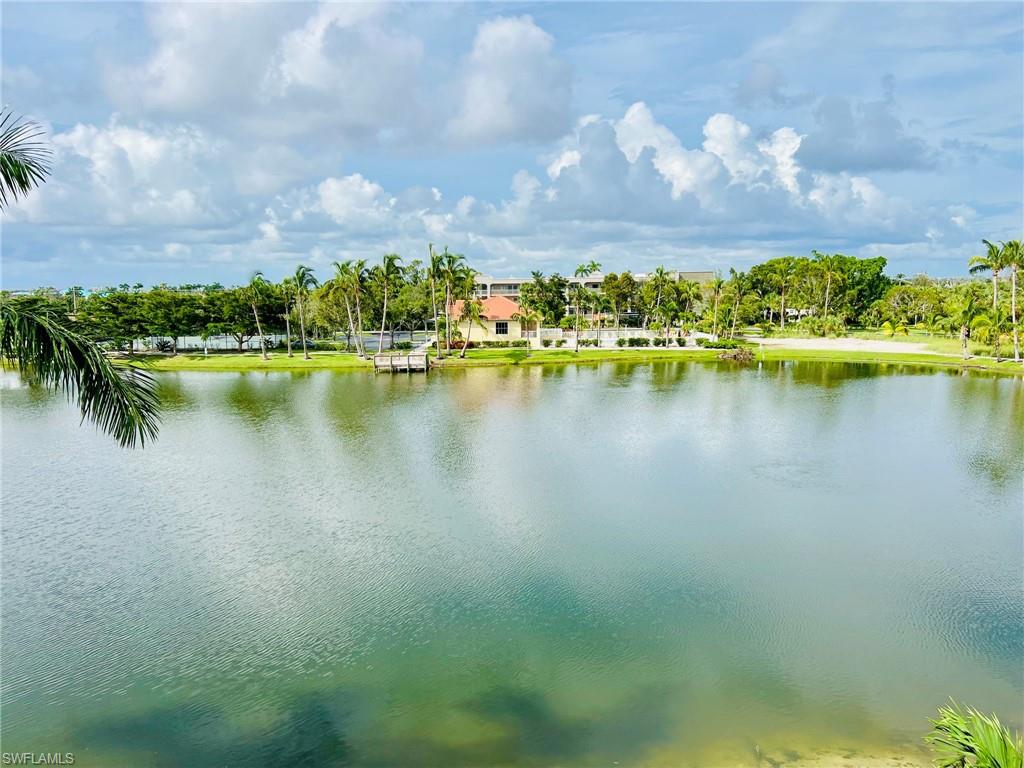 Expansive water feature with lush green landscaping and mature palm trees