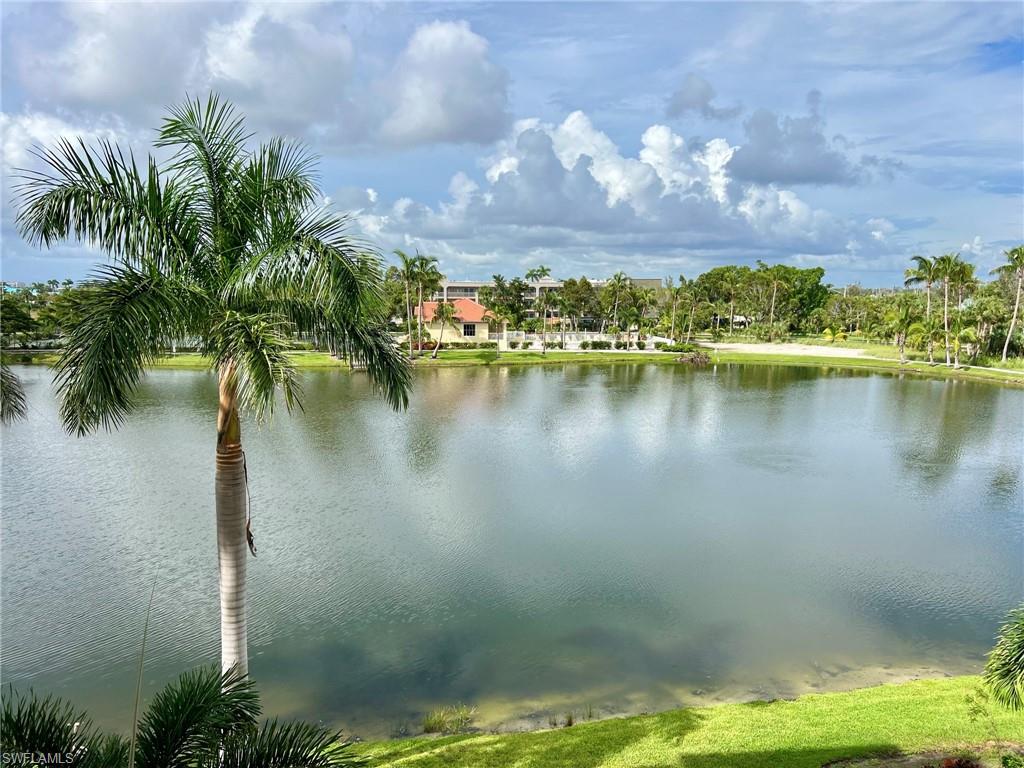 Expansive water feature with lush green landscaping and mature palm trees