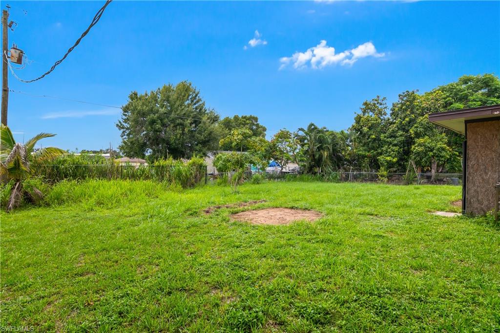 back yard