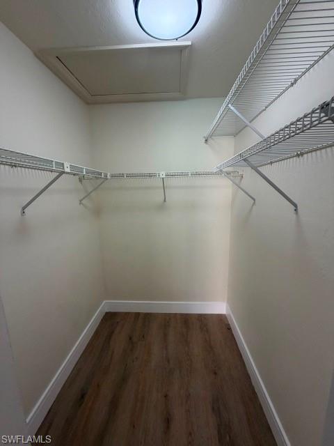 1804 Viscaya PKWY photo 17