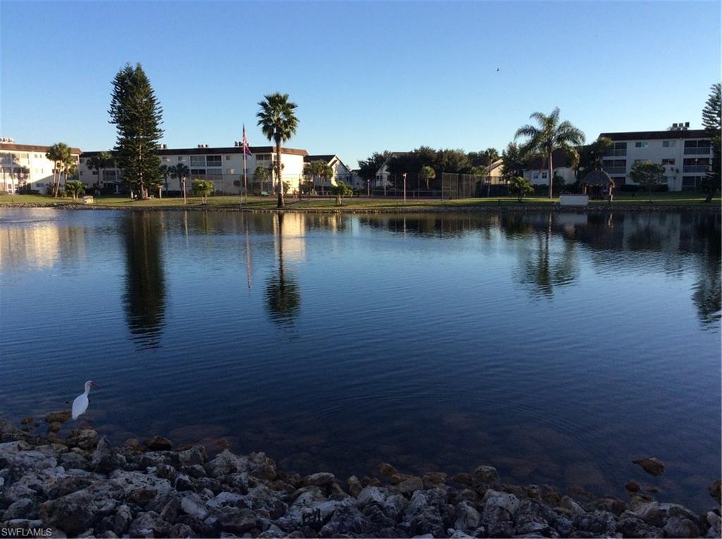 Peaceful Lake View