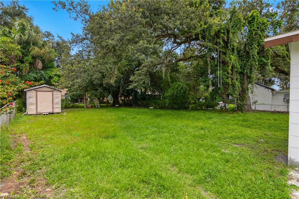 Back yard