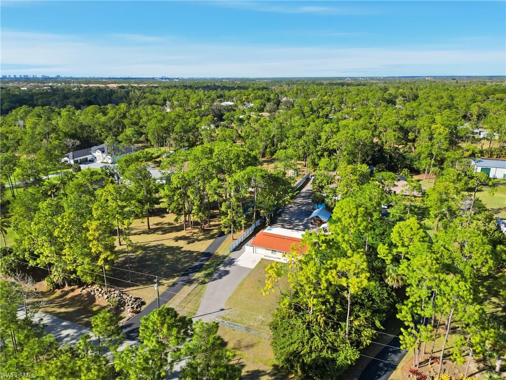 Expansive treed lot with paved driveways and surrounding mature trees