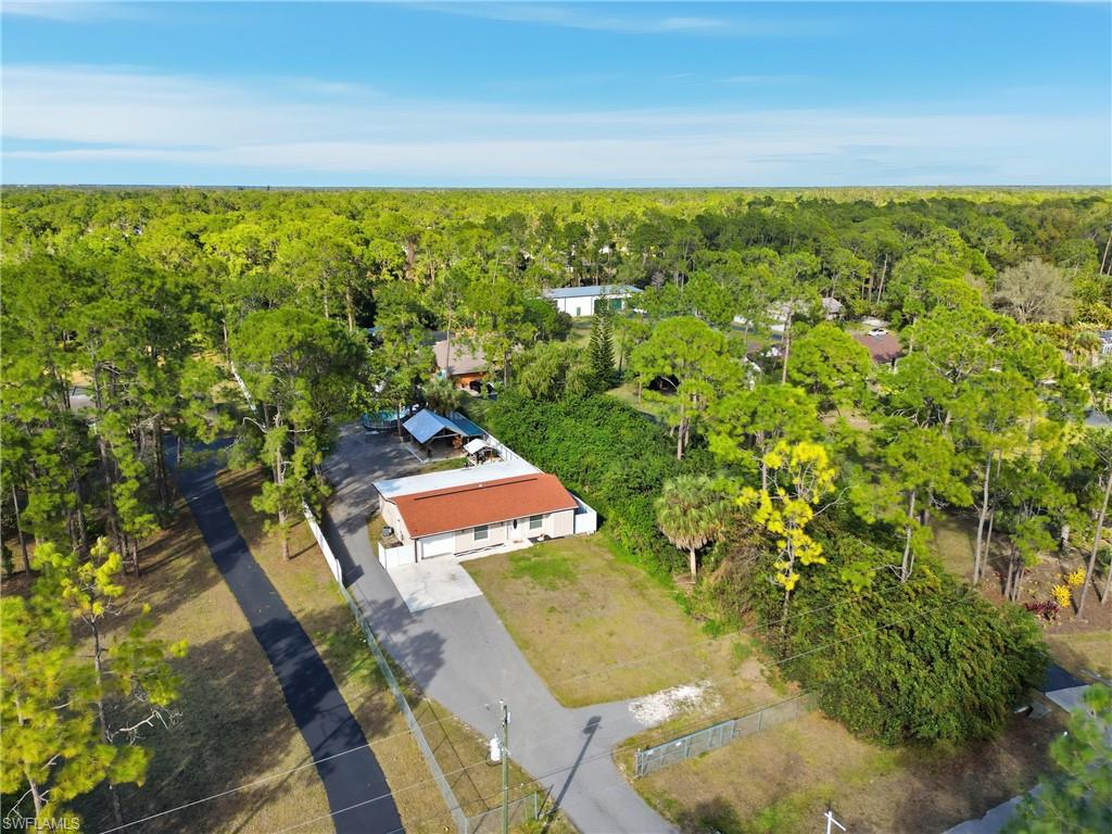 Expansive lot with a paved driveway, surrounded by mature trees and lush vegetation