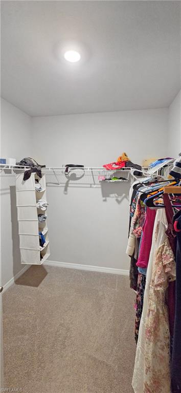 Walk-in closet featuring wire shelving, carpet flooring, and recessed ceiling lighting