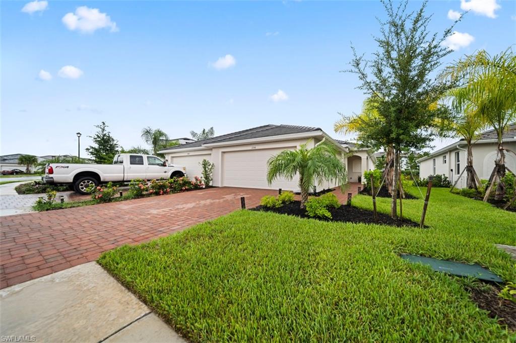 2356 Dragonfruit WAY